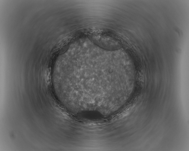 X0000112770818200909031609