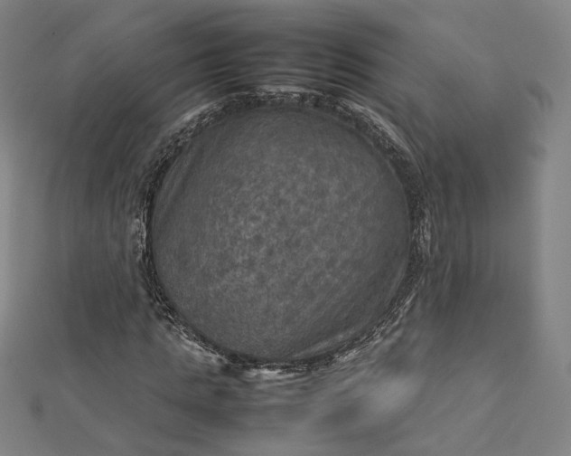 X0000112770821200909031609