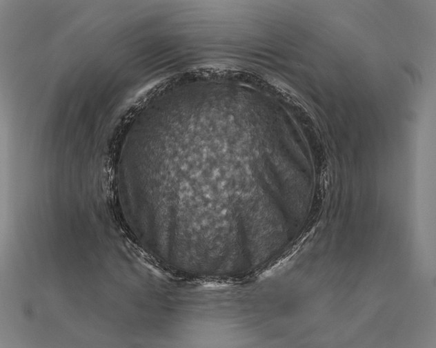 X0000112770822200909031609