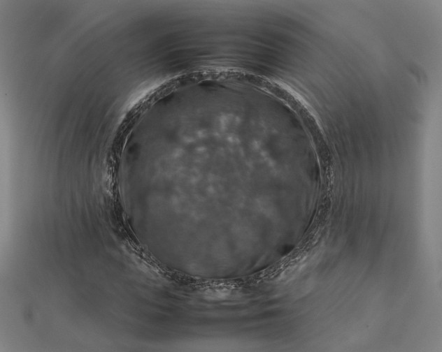 X0000112770823200909031609