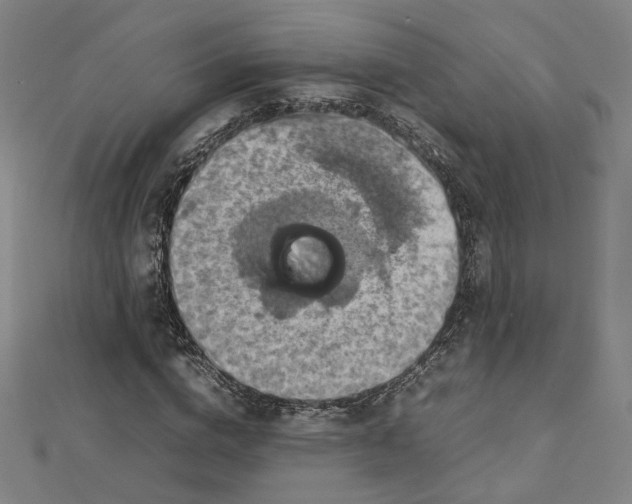 X0000112770824200909031609