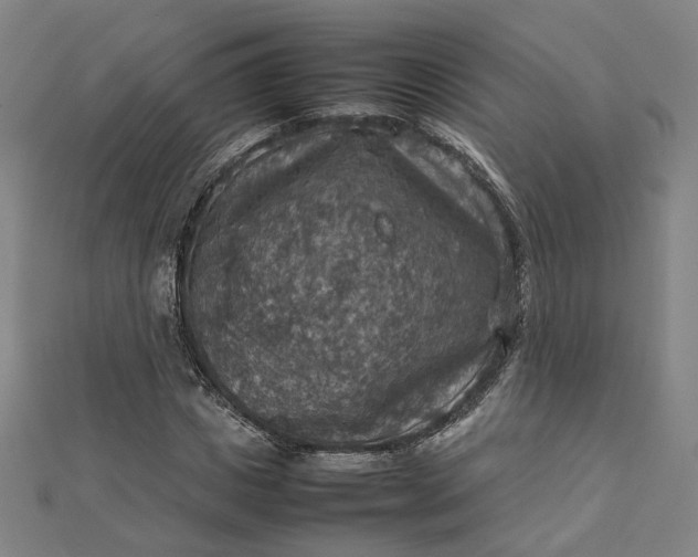 X0000112770825200909031609