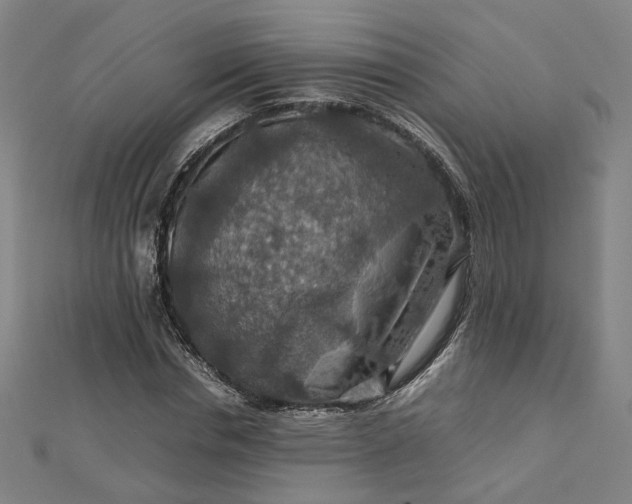 X0000112770826200909031609