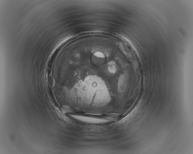 X0000112770827200909031609