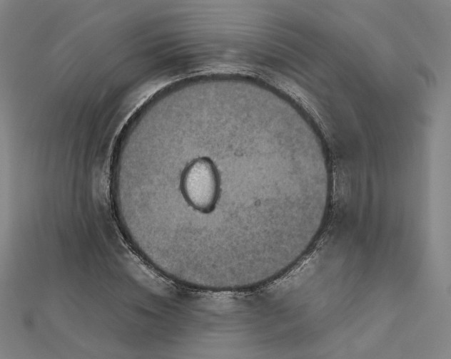 X0000112770828200909031609