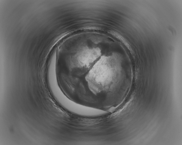 X0000112770829200909031609