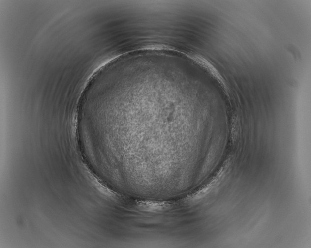 X0000112770831200909031609