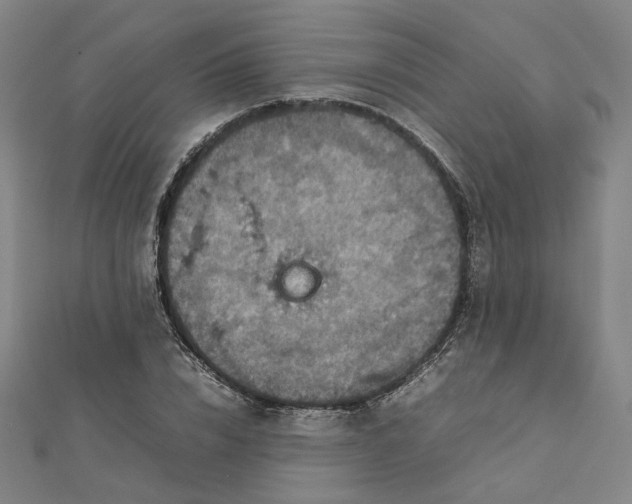 X0000112770832200909031609