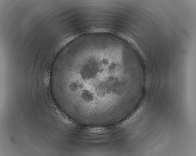 X0000112770833200909031609