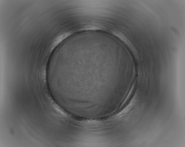 X0000112770834200909031609