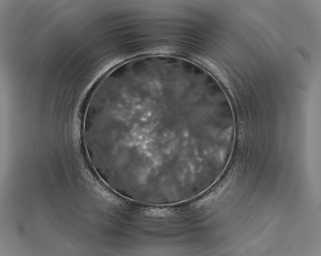 X0000112770835200909031609