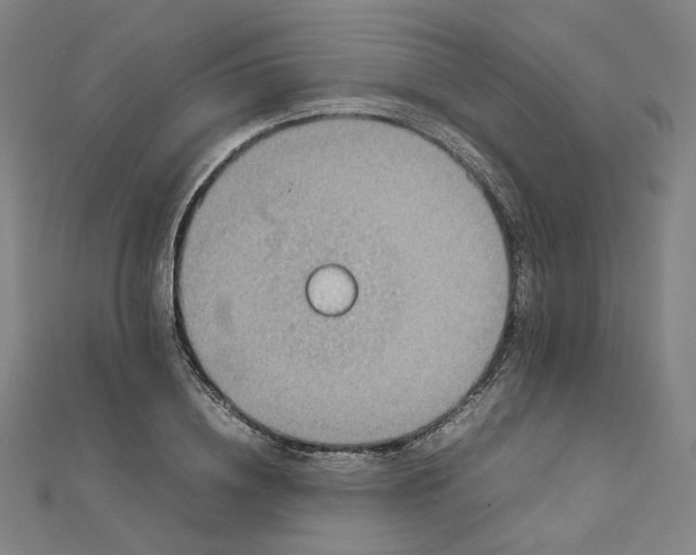 X0000112770836200909031609