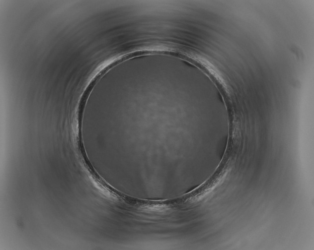 X0000112770837200909031609