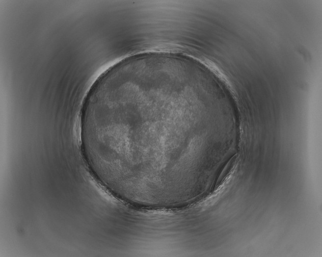 X0000112770838200909031609