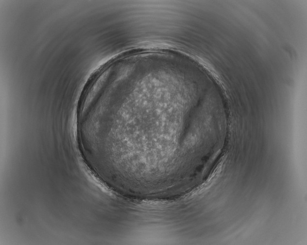 X0000112770840200909031609