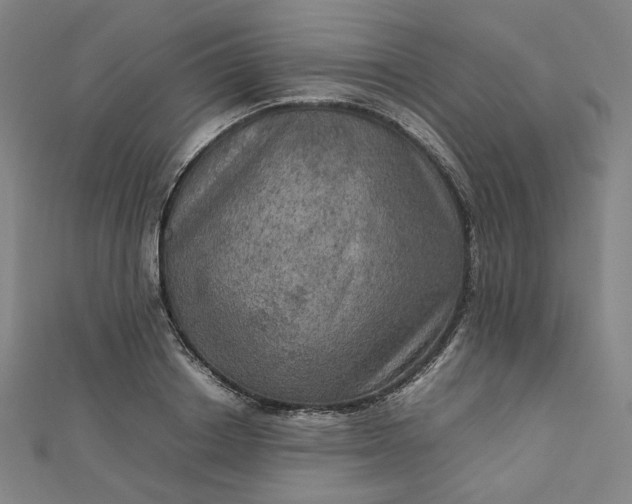 X0000112770842200909031609