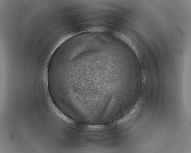 X0000112770843200909031609