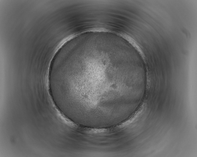 X0000112770845200909031609