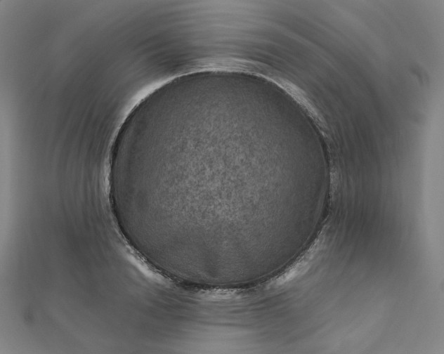 X0000112770846200909031609