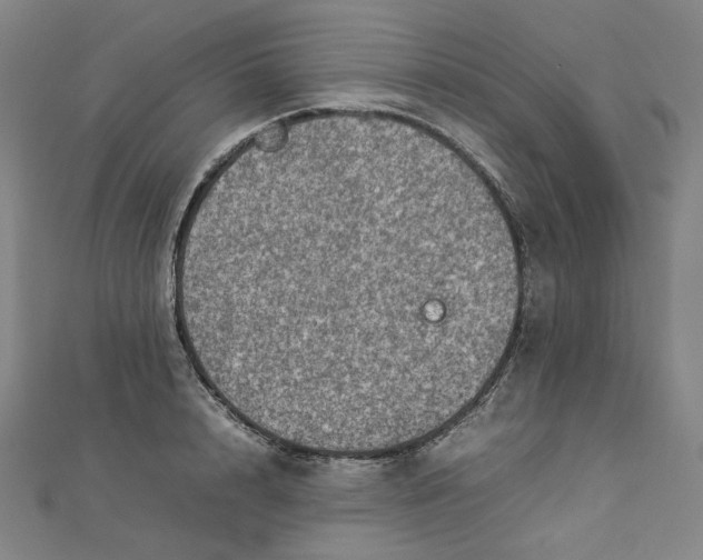 X0000112770848200909031609