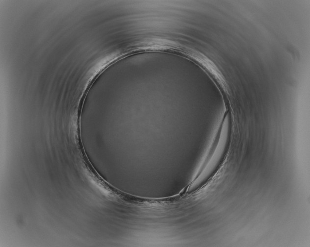 X0000112770850200909031609