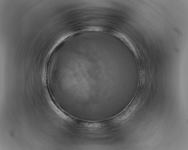 X0000112770851200909031609