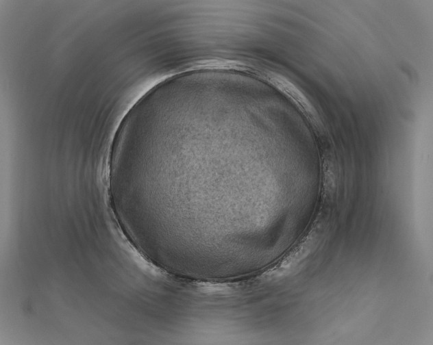 X0000112770852200909031609