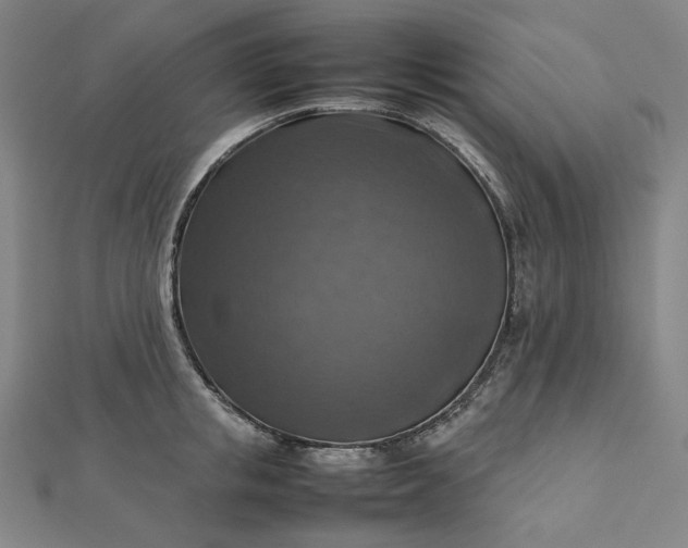 X0000112770853200909031609