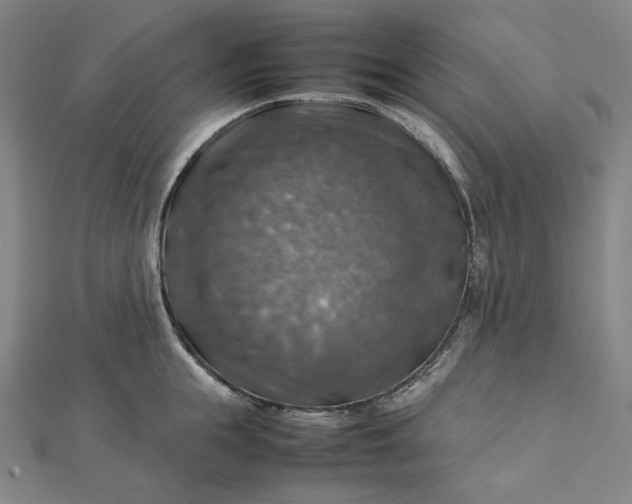 X0000112770855200909031609