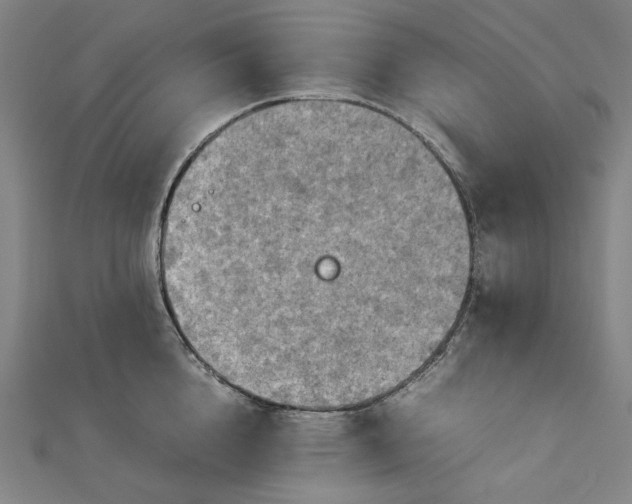 X0000112770856200909031609