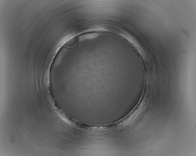 X0000112770858200909031609