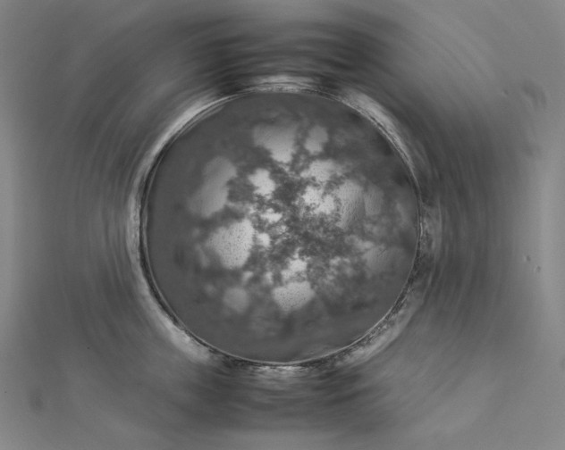 X0000112770859200909031609