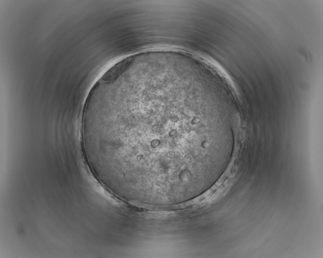 X0000112770860200909031609