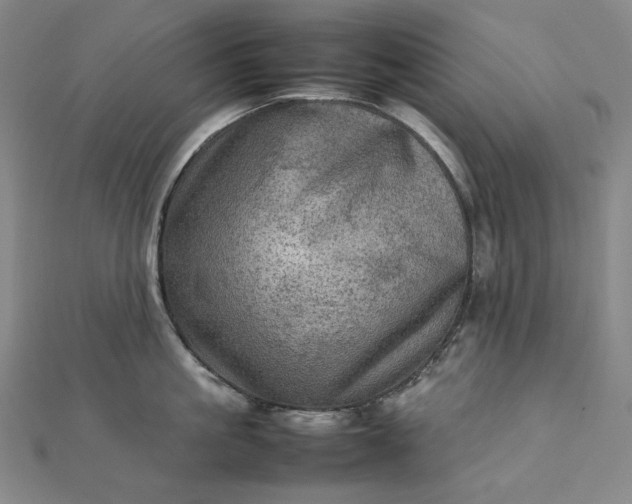 X0000112770861200909031609