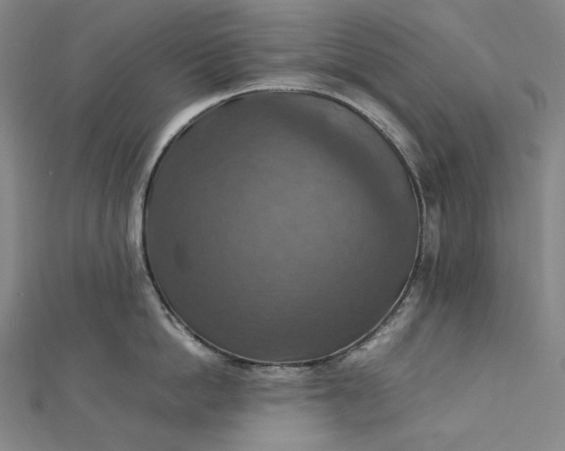 X0000112770862200909031609