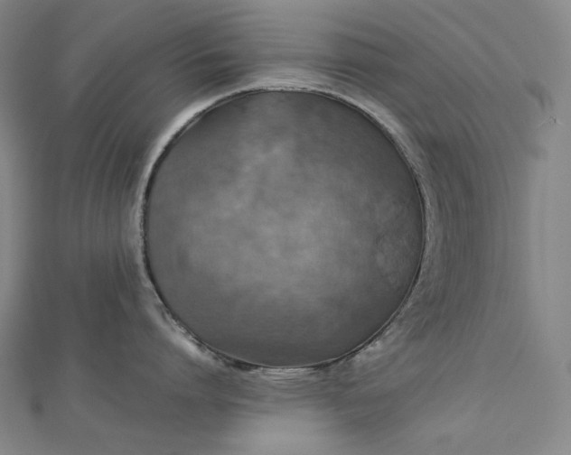 X0000112770864200909031609