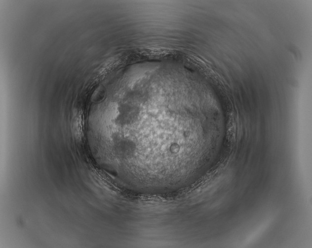 X0000112770866200909031609