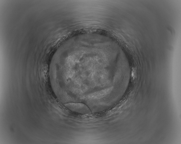 X0000112770867200909031609