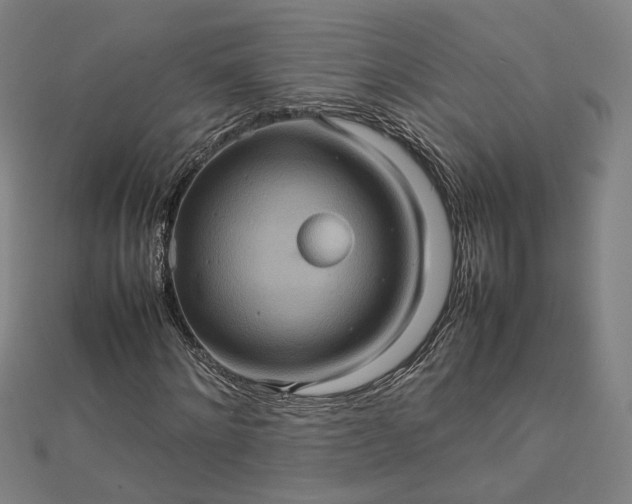 X0000112770868200909031609