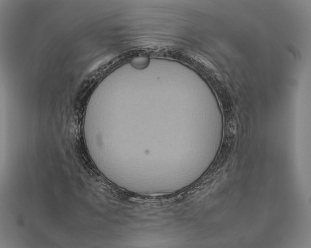 X0000112770869200909031609