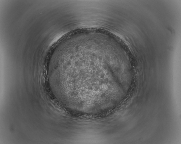 X0000112770871200909031609