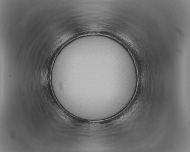 X0000112770873200909031609