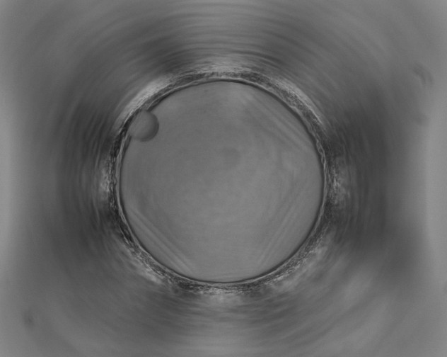 X0000112770874200909031609