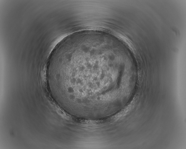 X0000112770875200909031609