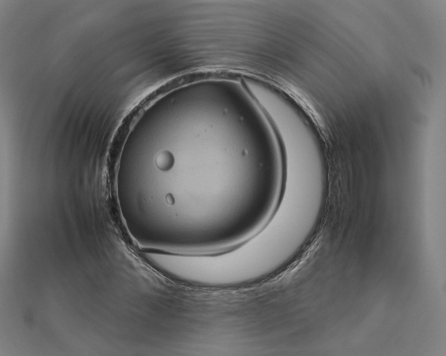 X0000112770876200909031609