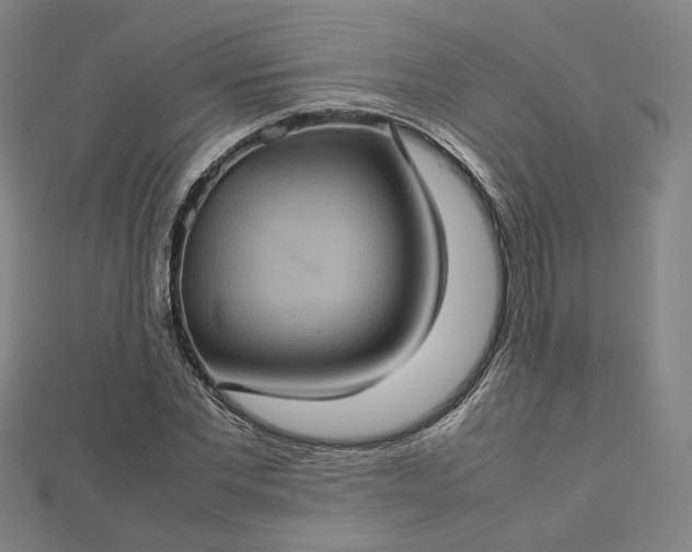 X0000112770877200909031609