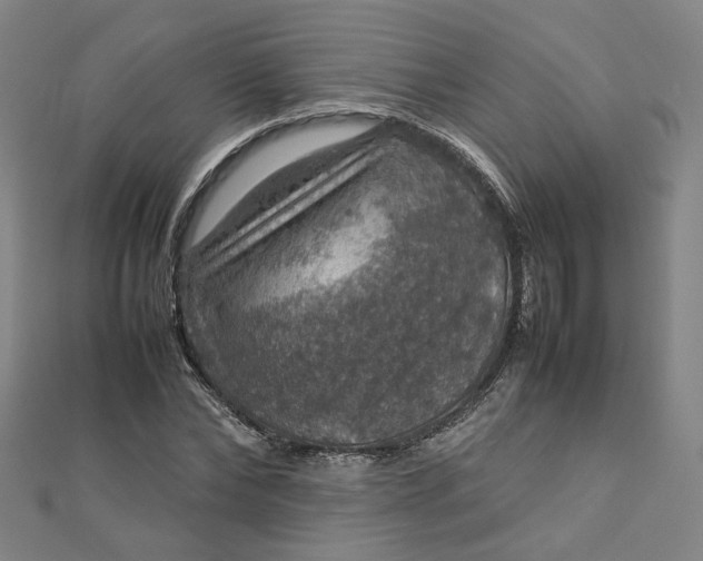 X0000112770878200909031609