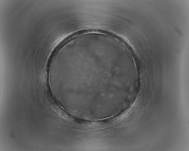 X0000112770879200909031609