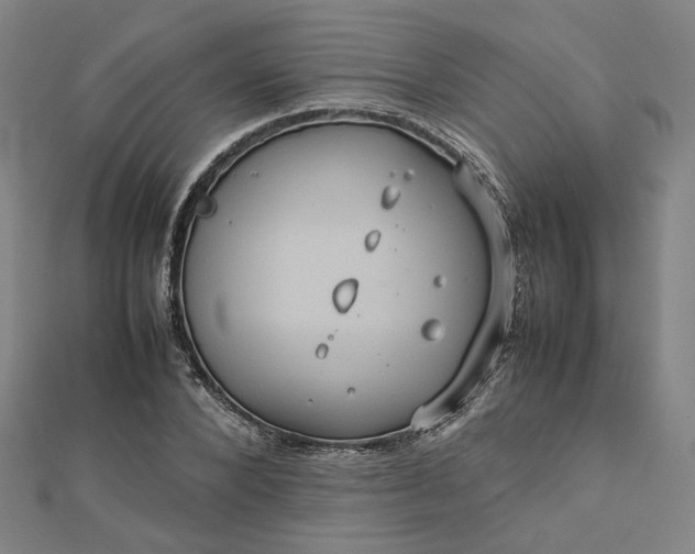 X0000112770880200909031609