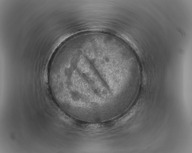 X0000112770883200909031609